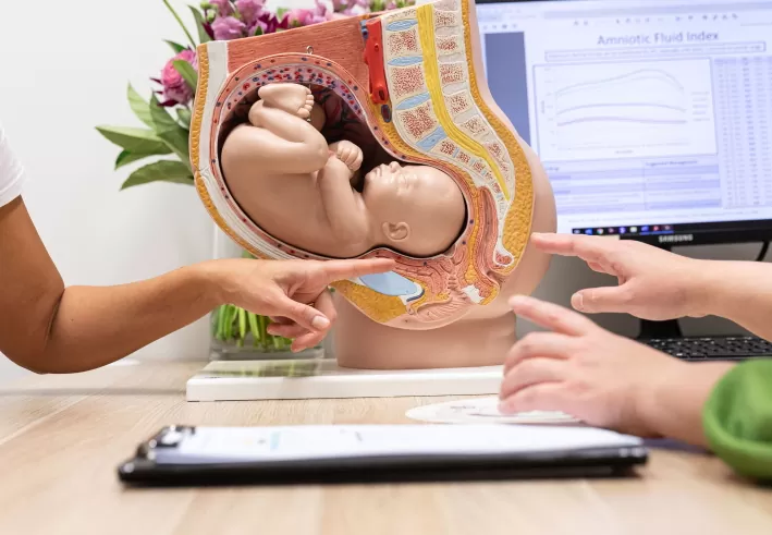 Ultrasound Care - Pregnancy Ultrasound